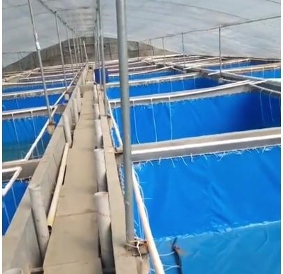水产养殖场专用帆布 南美白对虾养殖水池 工厂化管理养殖