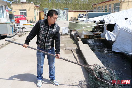保定涿州 打造乡村振兴的 鱼米产业